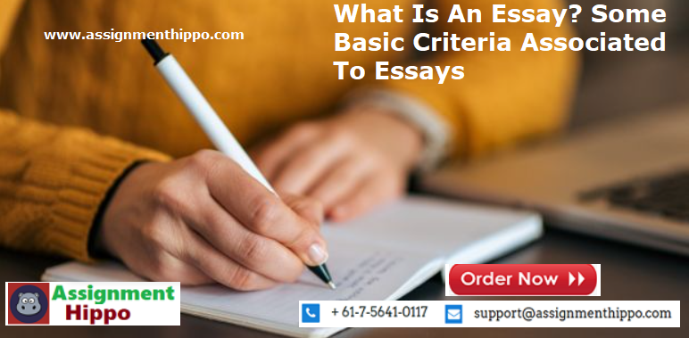 What Is An Essay